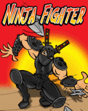Ninja fighters