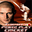 Flintoff s: powerplay cricket