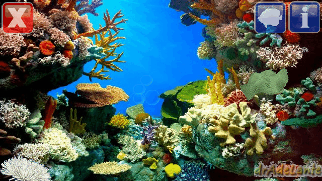 Egi marine aquarium v2.0