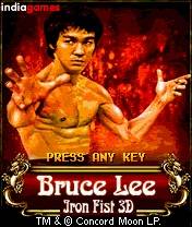 Bruce lee  iron fist 3d