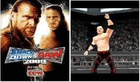 Wwe smackdown vs raw 2009