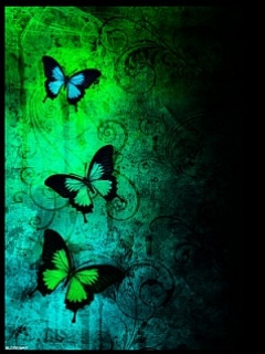 Butterfly darkness