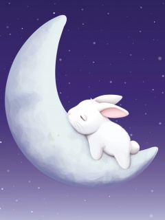 Sleeping bunny