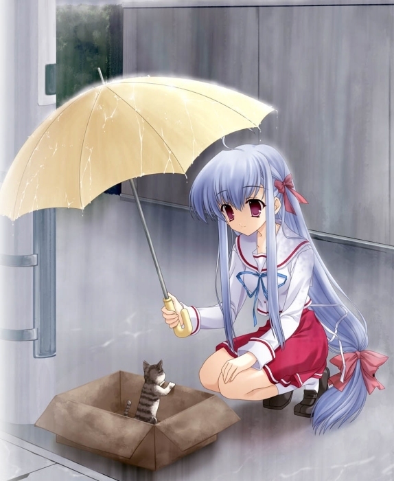 Anime girl and cat